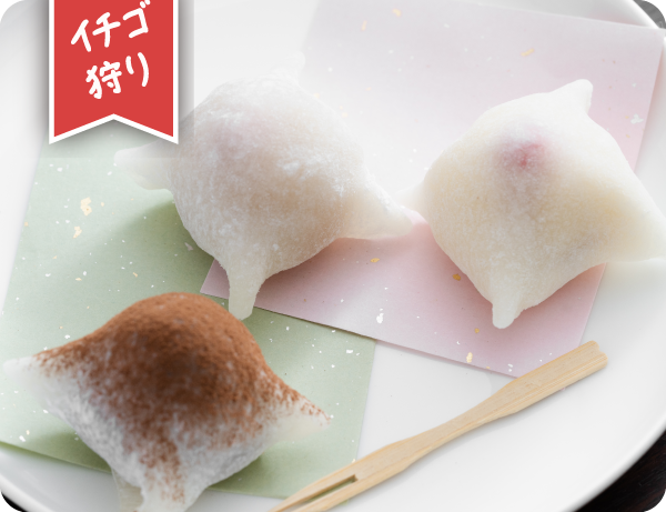 いちご大福/いちご狩り